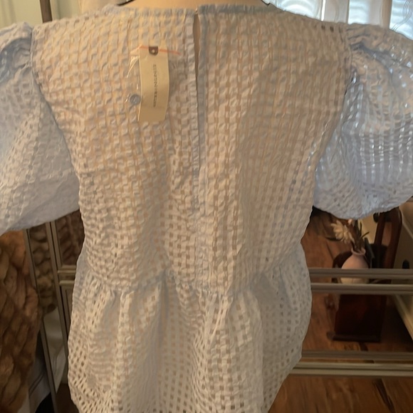 😍 NWT Anthropologie powder blue, mesh-like puffed sleeve top. L. Gorg!! - Picture 4 of 11